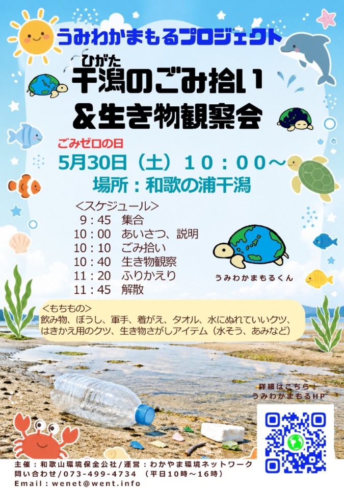 5/30和歌の浦干潟ごみ拾い＆生き物観察会🦀